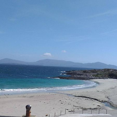 Lavender Lane Cottage Tralee Ngoại thất bức ảnh